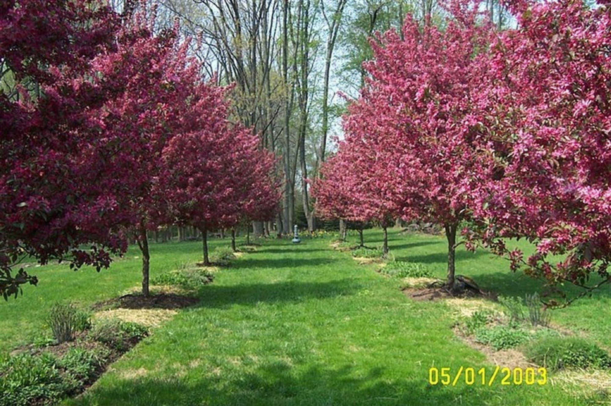 Wild Wisteria Chadds Ford Exterior foto